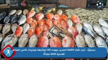 رسميًا.. تردد قناة DAZN الجديد بجودة HD لمتابعة مباريات كأس العالم للأندية 2025 مجانًا
